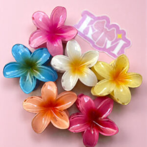 Bundle of 6 Flower Claws - Large