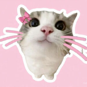 Pookie Cat - Laptop Sticker