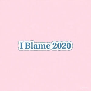 I blame 2020 - Laptop Sticker