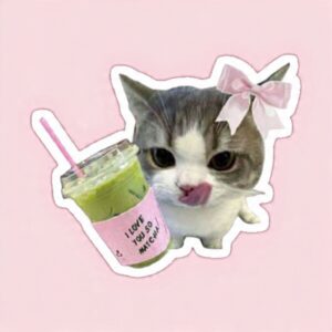 MATCHA Cat - Laptop Sticker